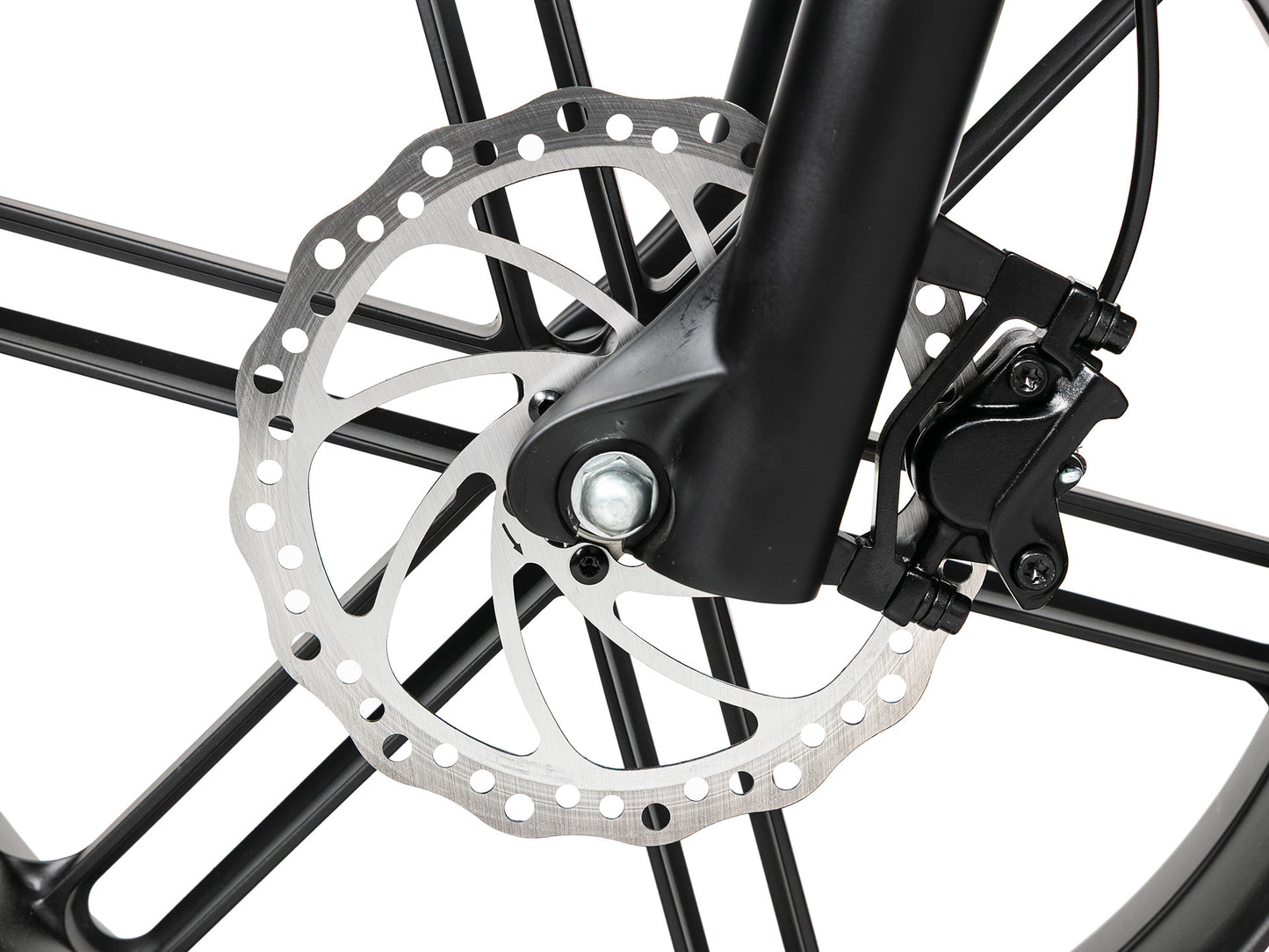 EVVOLT Åsen skivebremse rotor nærbilde med sort magnesiumfelg